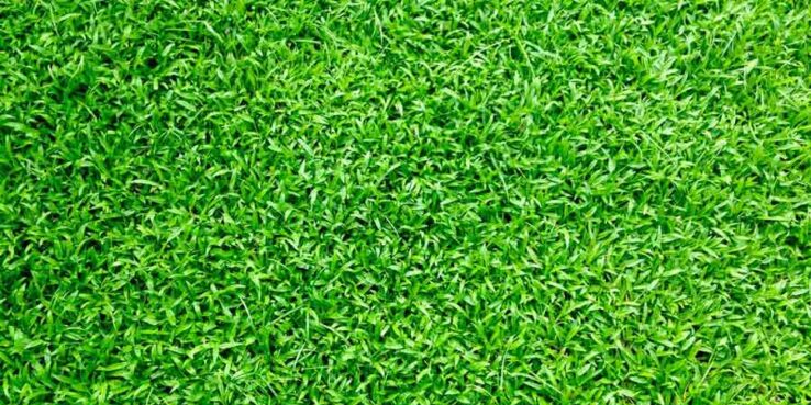 The Top Advantages of Synthetic Turf