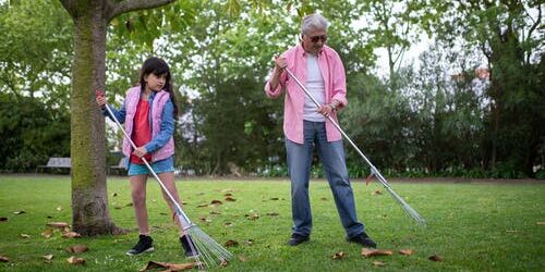 How to Start Raking Your Yard Better